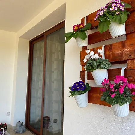 Hébergement de vacances Casa Mirto *